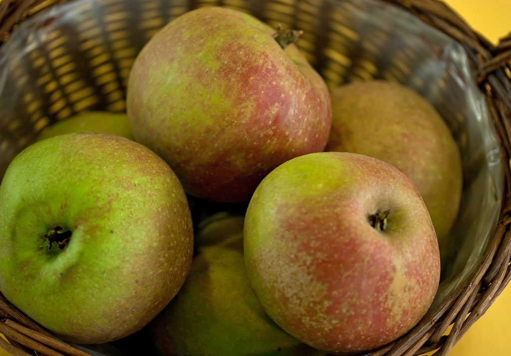 Sprawdź, ile kalorii mają jabłka. Czy są dobrym wyborem na diecie?
