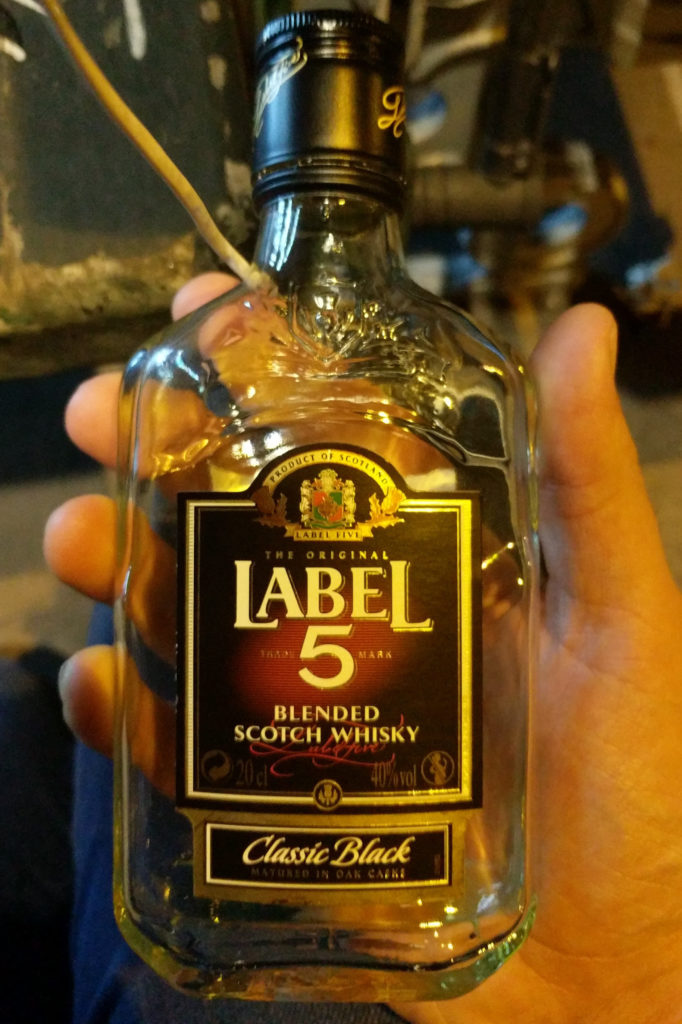 5 label whisky – wszystko, co warto o niej wiedzieć!